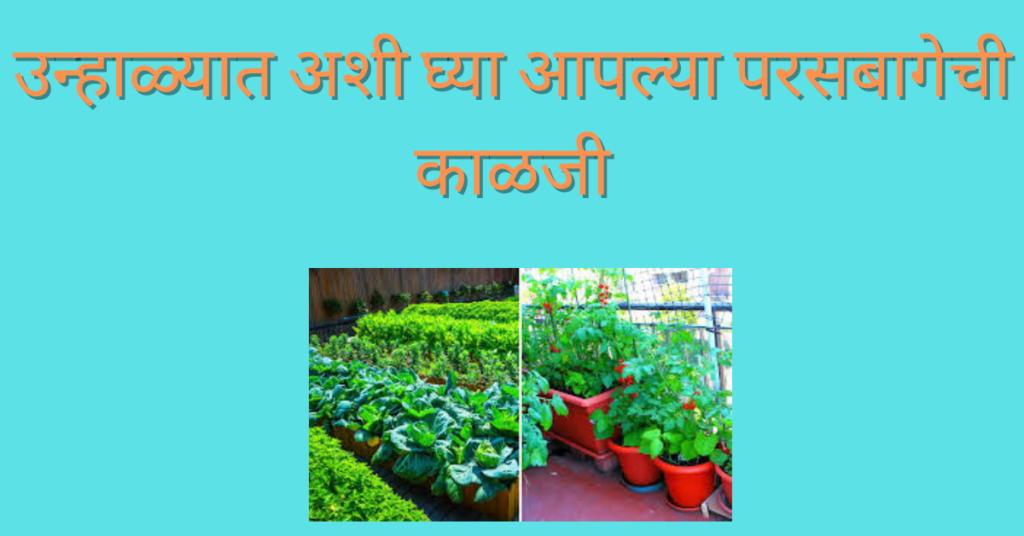 Summer plants Health Tips In Marathi