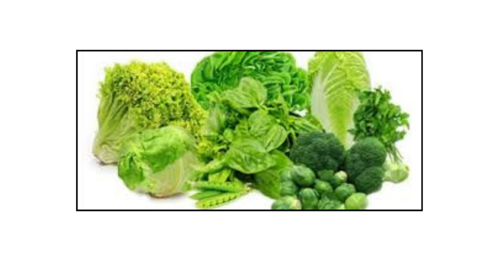 CALCIUM RICH FOOD SOURCES FOR VEGETARIANS GREEN VEGETABLES