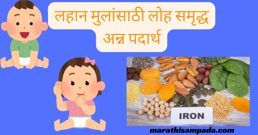 IRON RICH FOOD FOR BABY IN MARATHI