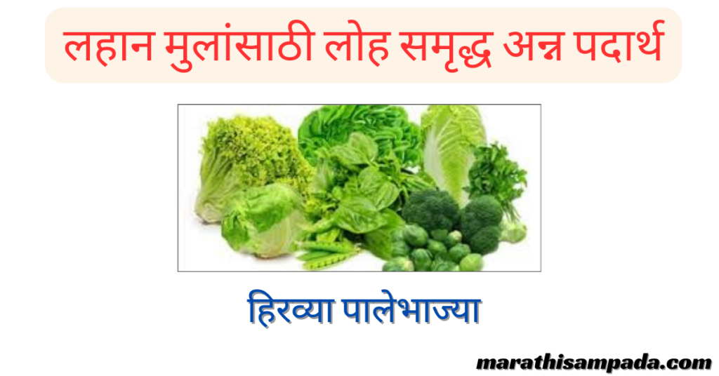 IRON RICH FOOD FOR BABY IN MARATHI