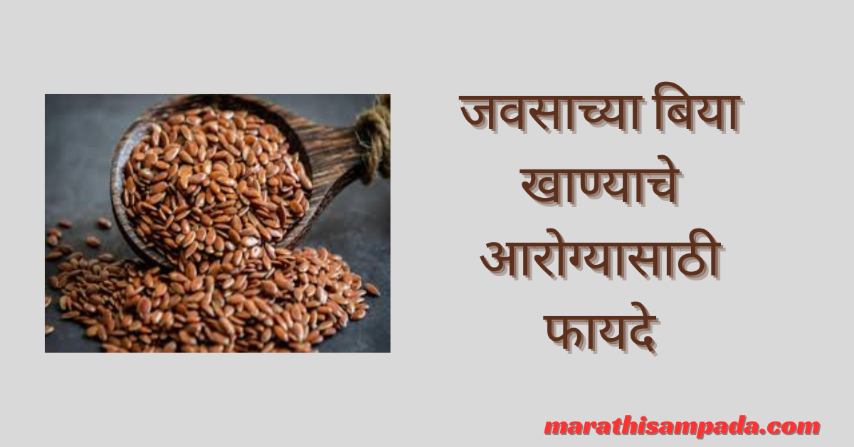 HEALTH BENEFITS OF FLAX SEEDS IN MARATHI