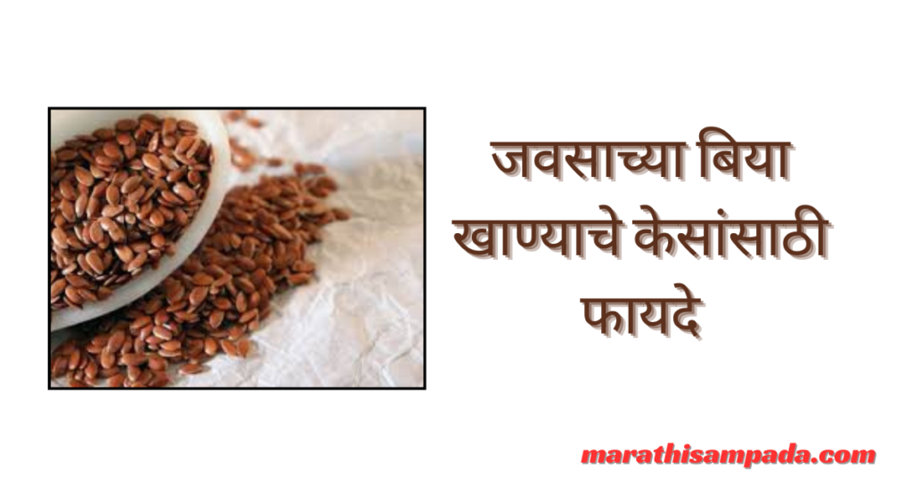 HEALTH BENEFITS OF FLAX SEEDS IN MARATHI