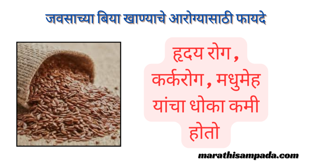 HEALTH BENEFITS OF FLAX SEEDS IN MARATHI