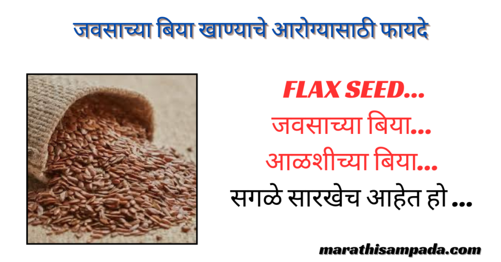 HEALTH BENEFITS OF FLAX SEEDS IN MARATHI