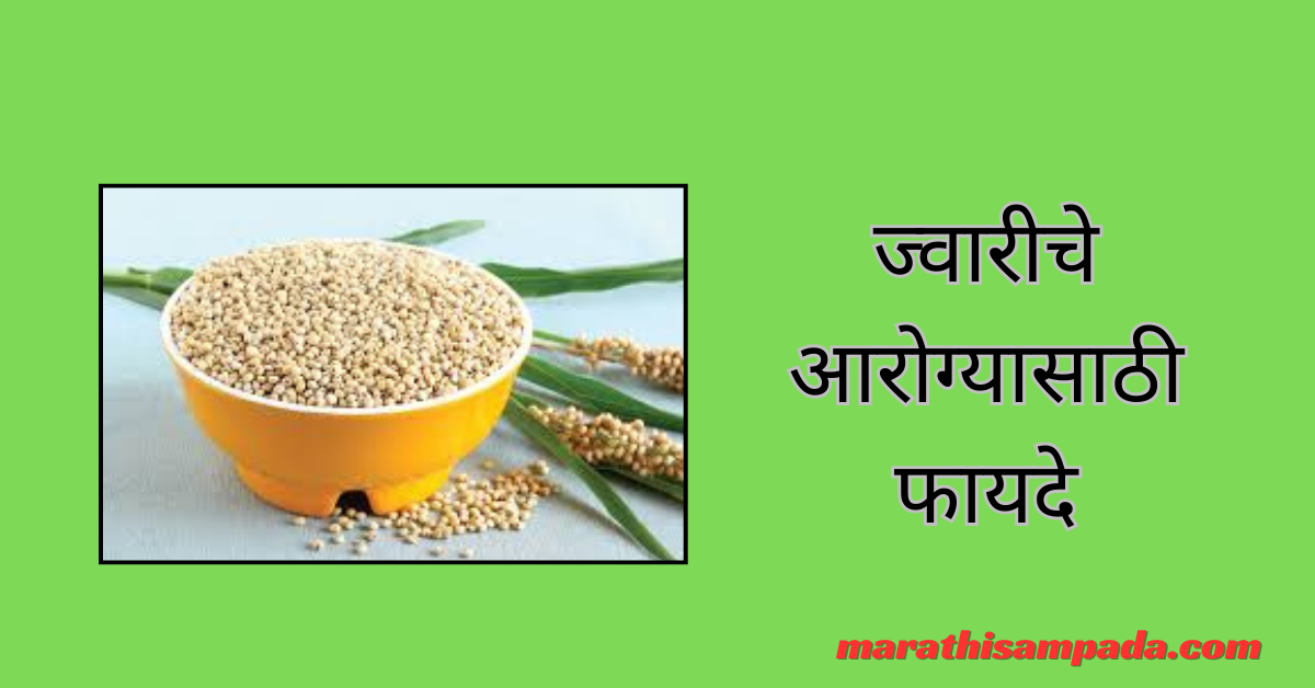 HEALTH BENEFITS OF JOWAR IN MARATHI