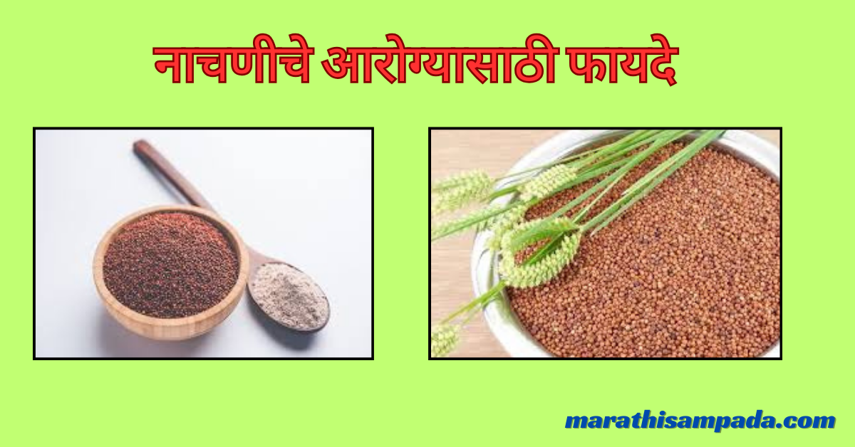 HEALTH BENEFITS OF NACHANI IN MARATHI