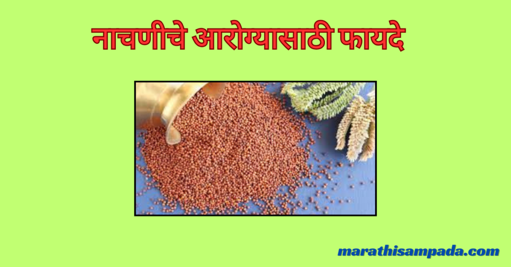 HEALTH BENEFITS OF NACHANI IN MARATHI