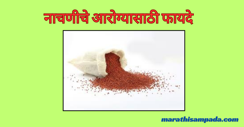 HEALTH BENEFITS OF NACHANI IN MARATHI