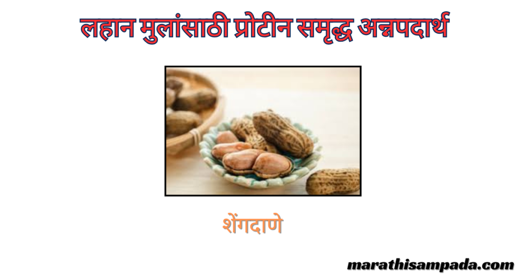 PROTEIN RICH FOOD FOR KIDS IN MARATHI